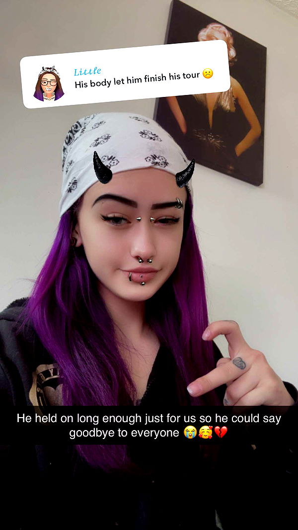 trappkittykhaos image ~ Altpins