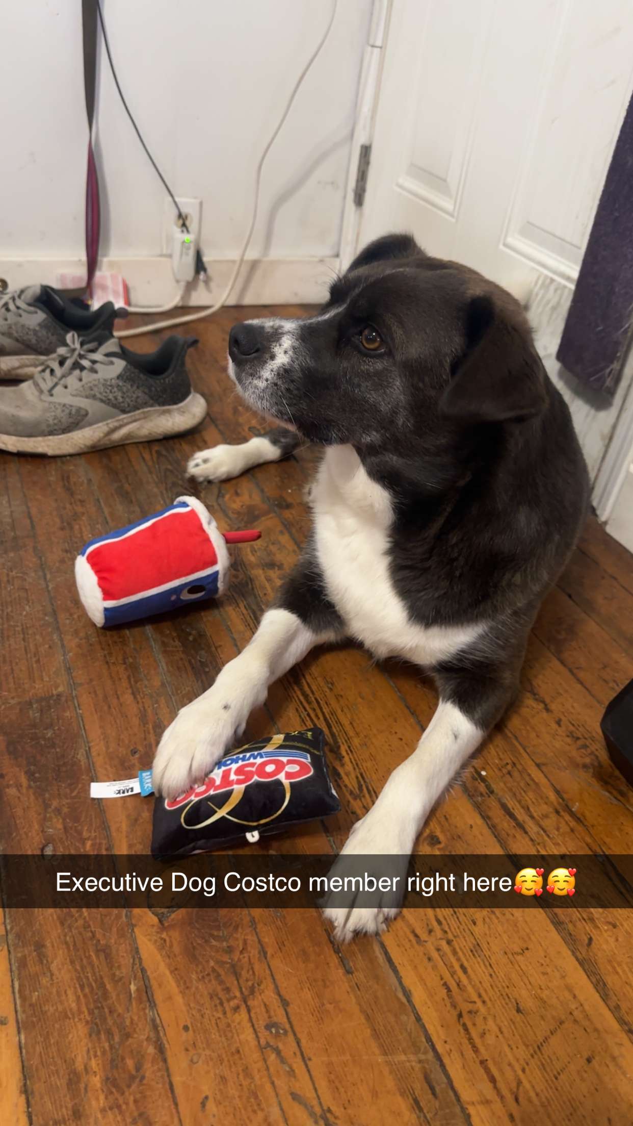 trappkittykhaos snapchat image archive image