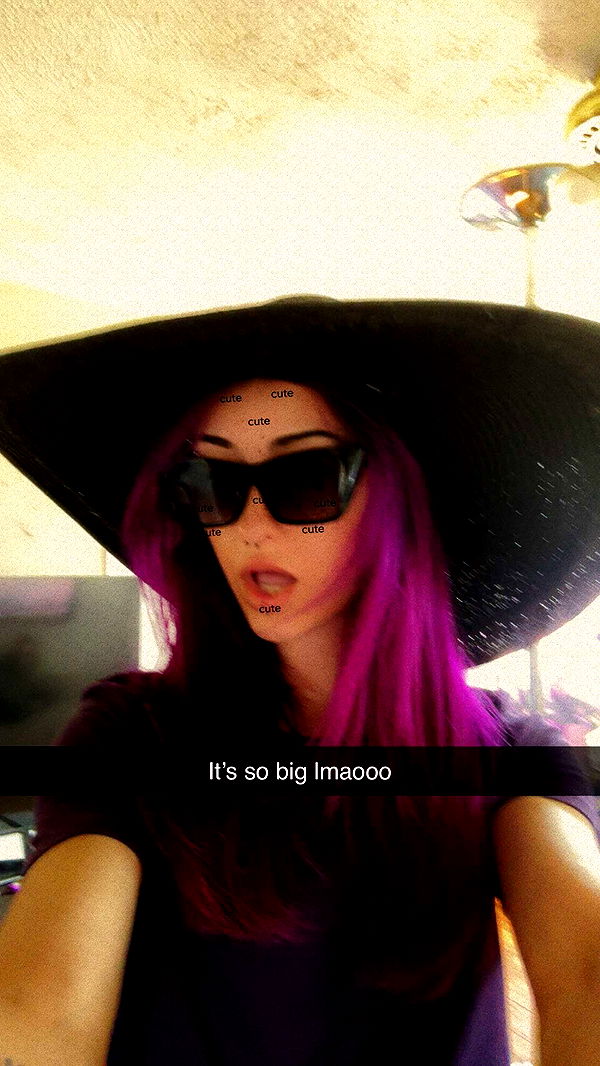 trappkittykhaos image ~ Altpins