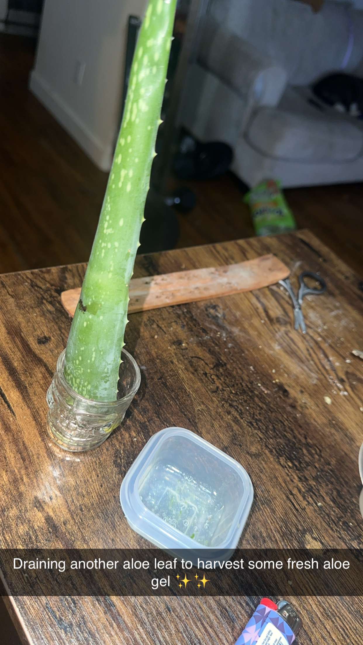 trappkittykhaos snapchat image archive image