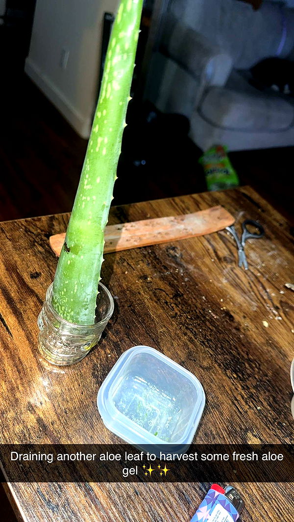 trappkittykhaos image ~ Altpins