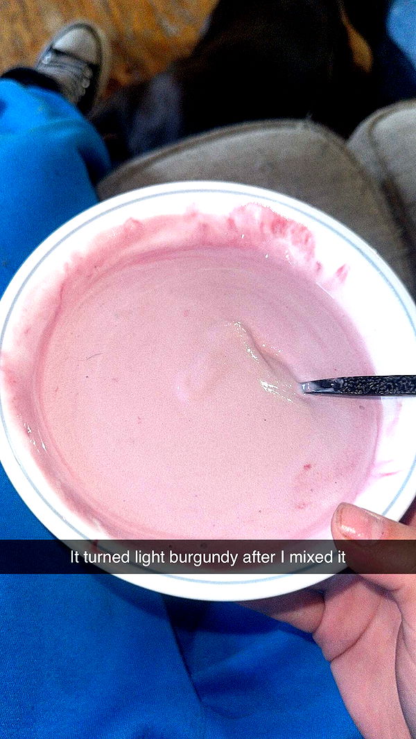 trappkittykhaos image ~ Altpins