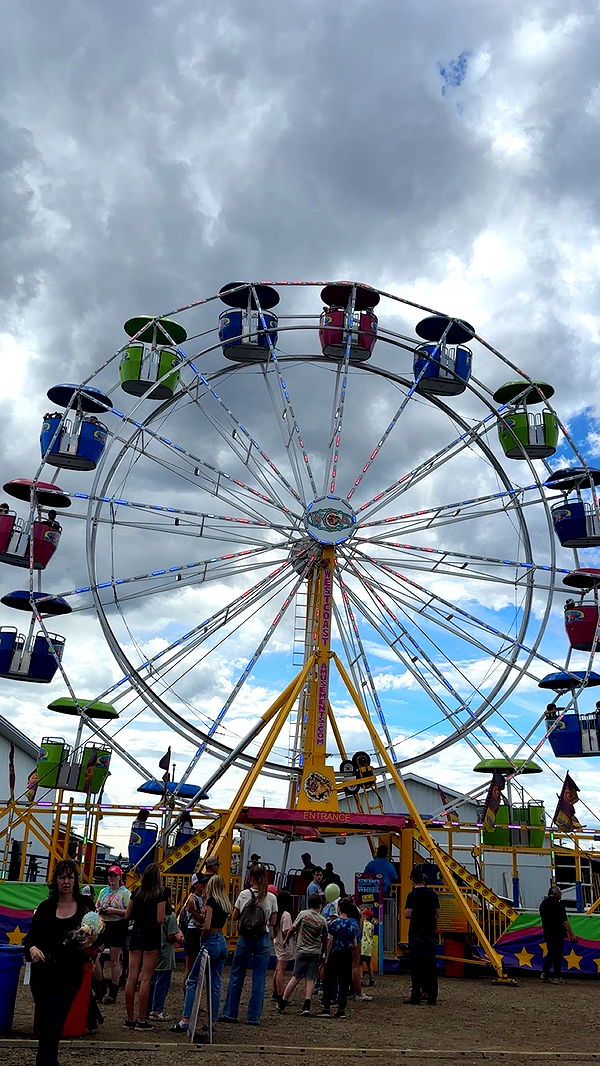 trappkittykhaos image ~ Altpins