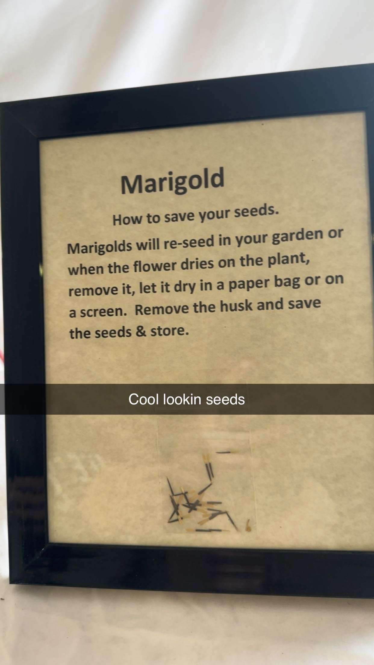 trappkittykhaos snapchat image archive image