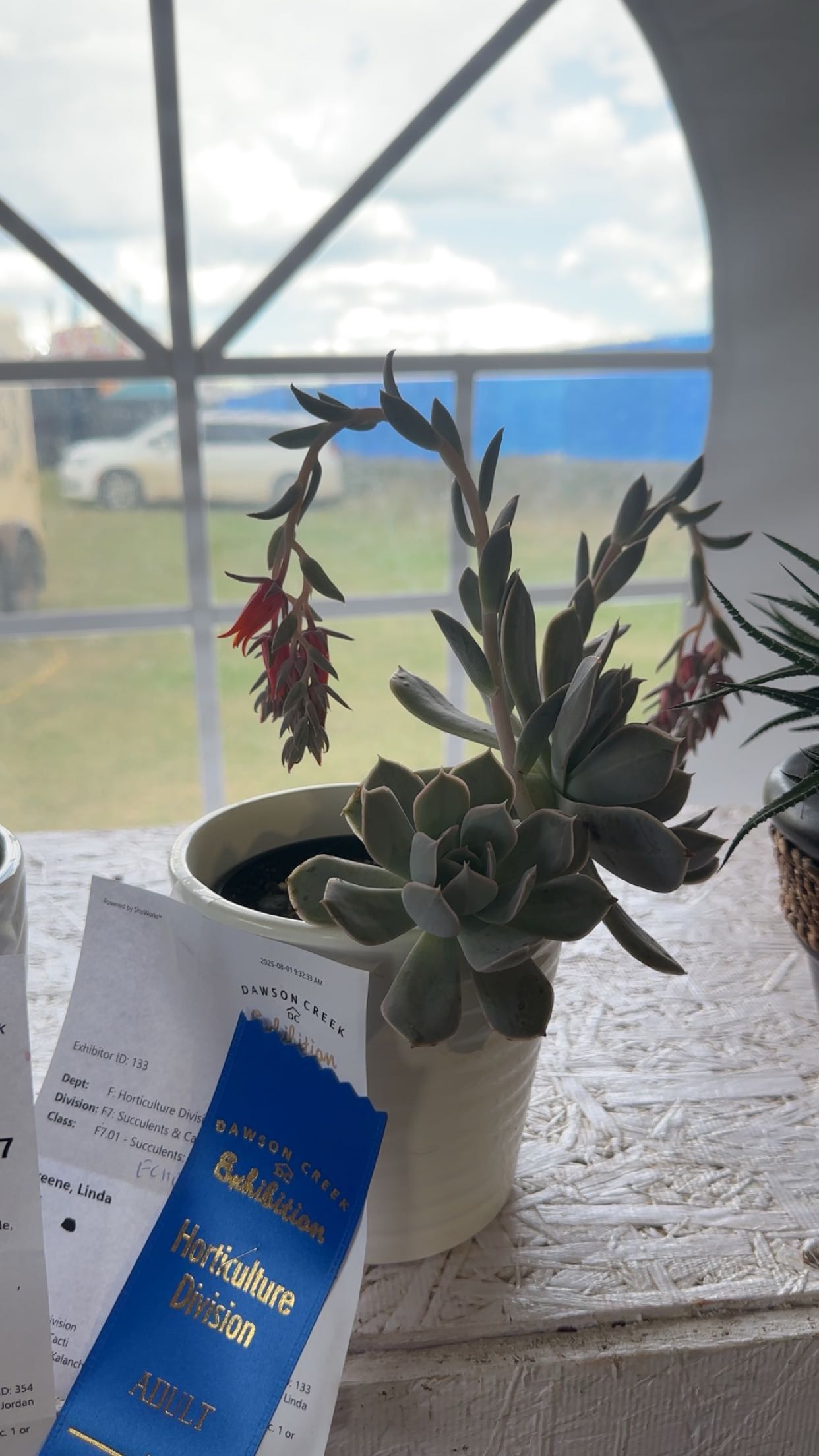 trappkittykhaos snapchat image archive image