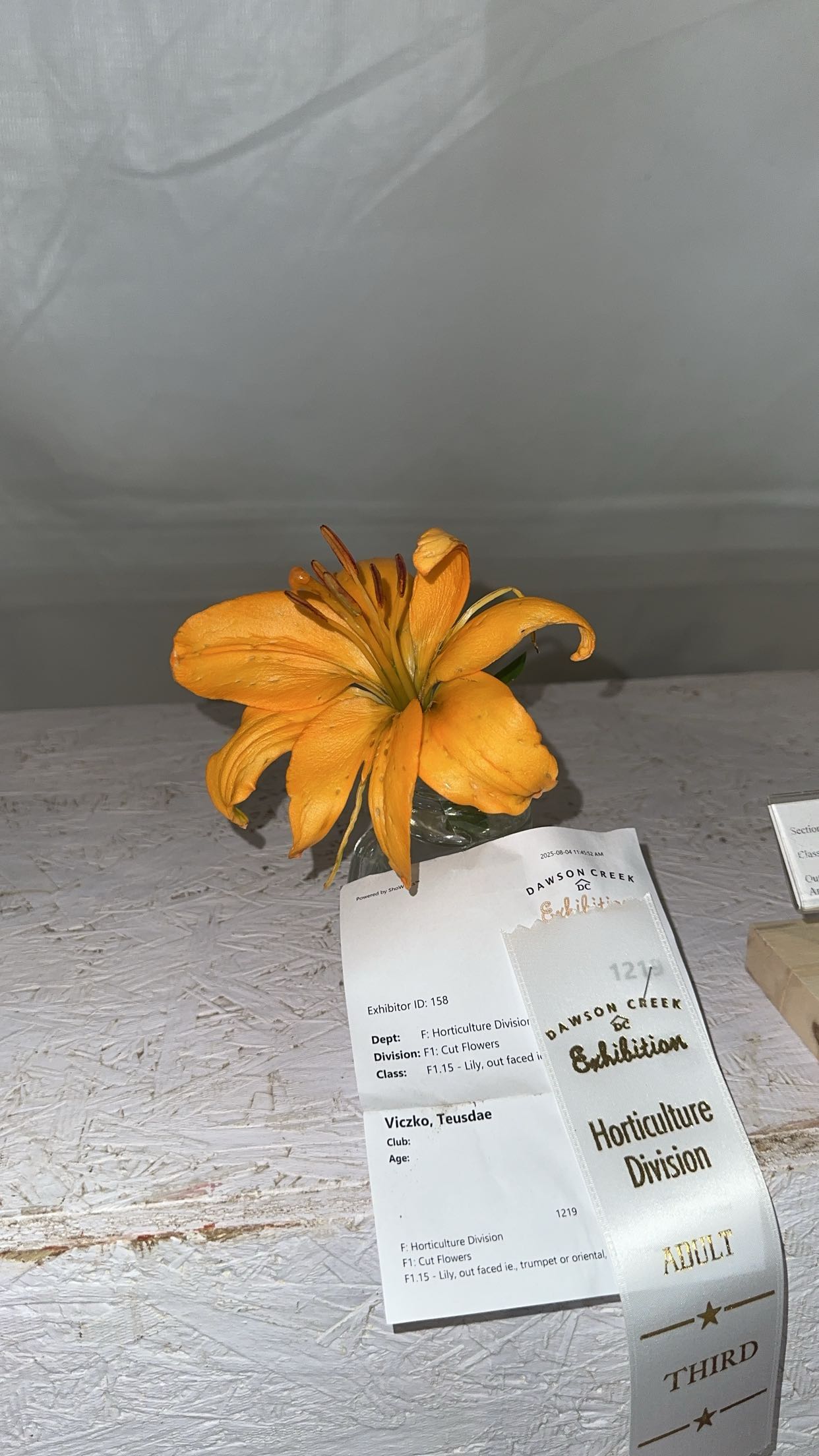 trappkittykhaos snapchat image archive image