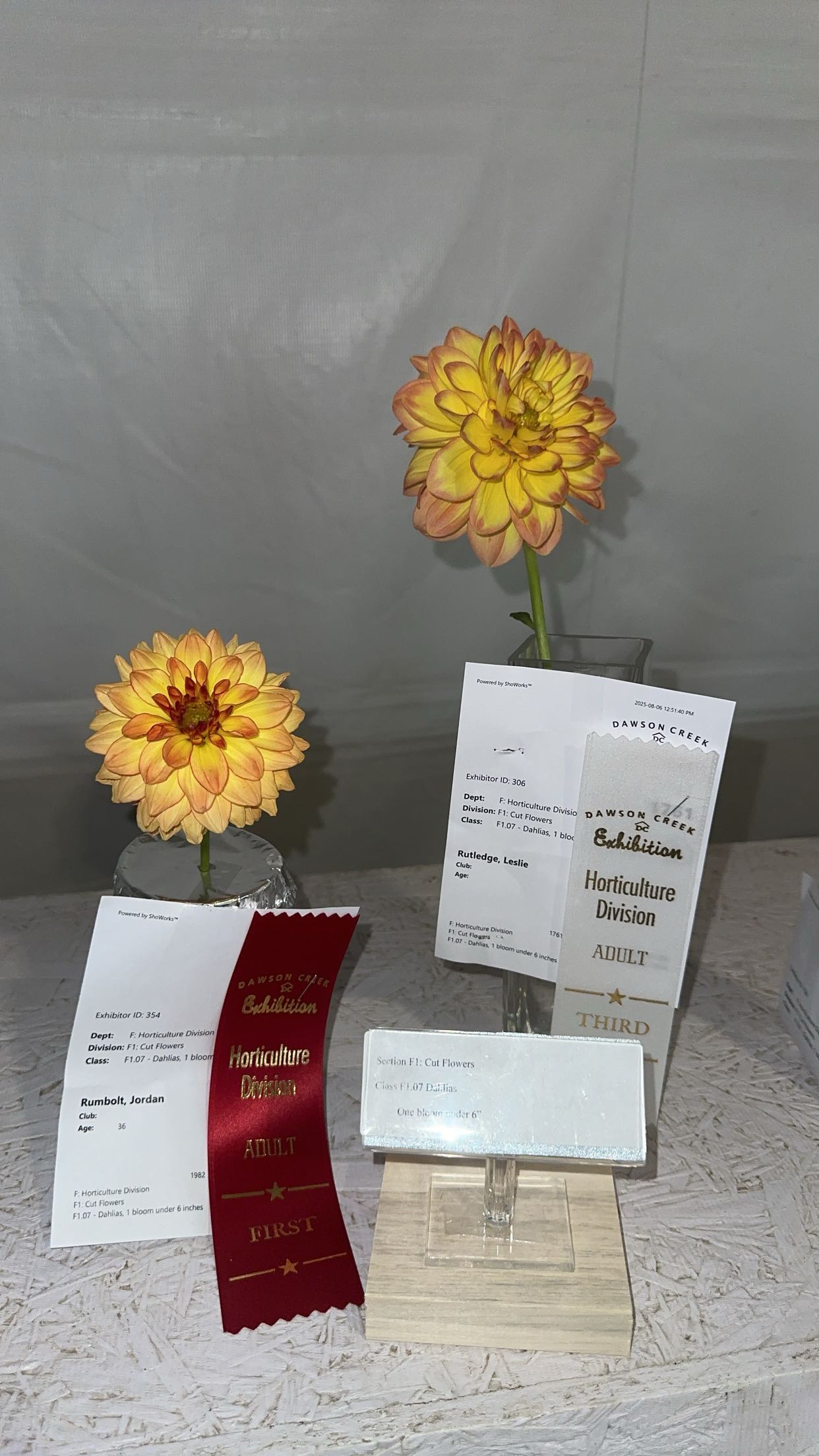 trappkittykhaos snapchat image archive image