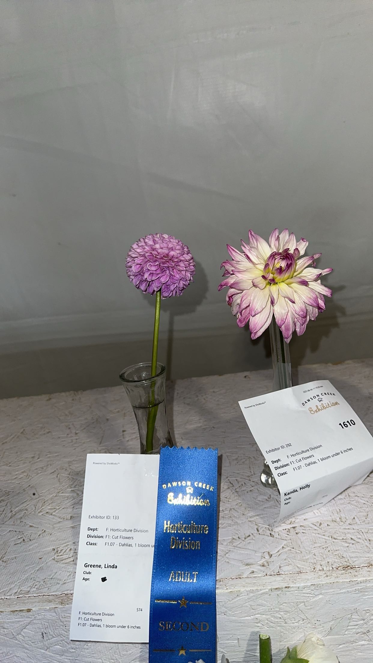 trappkittykhaos snapchat image archive image