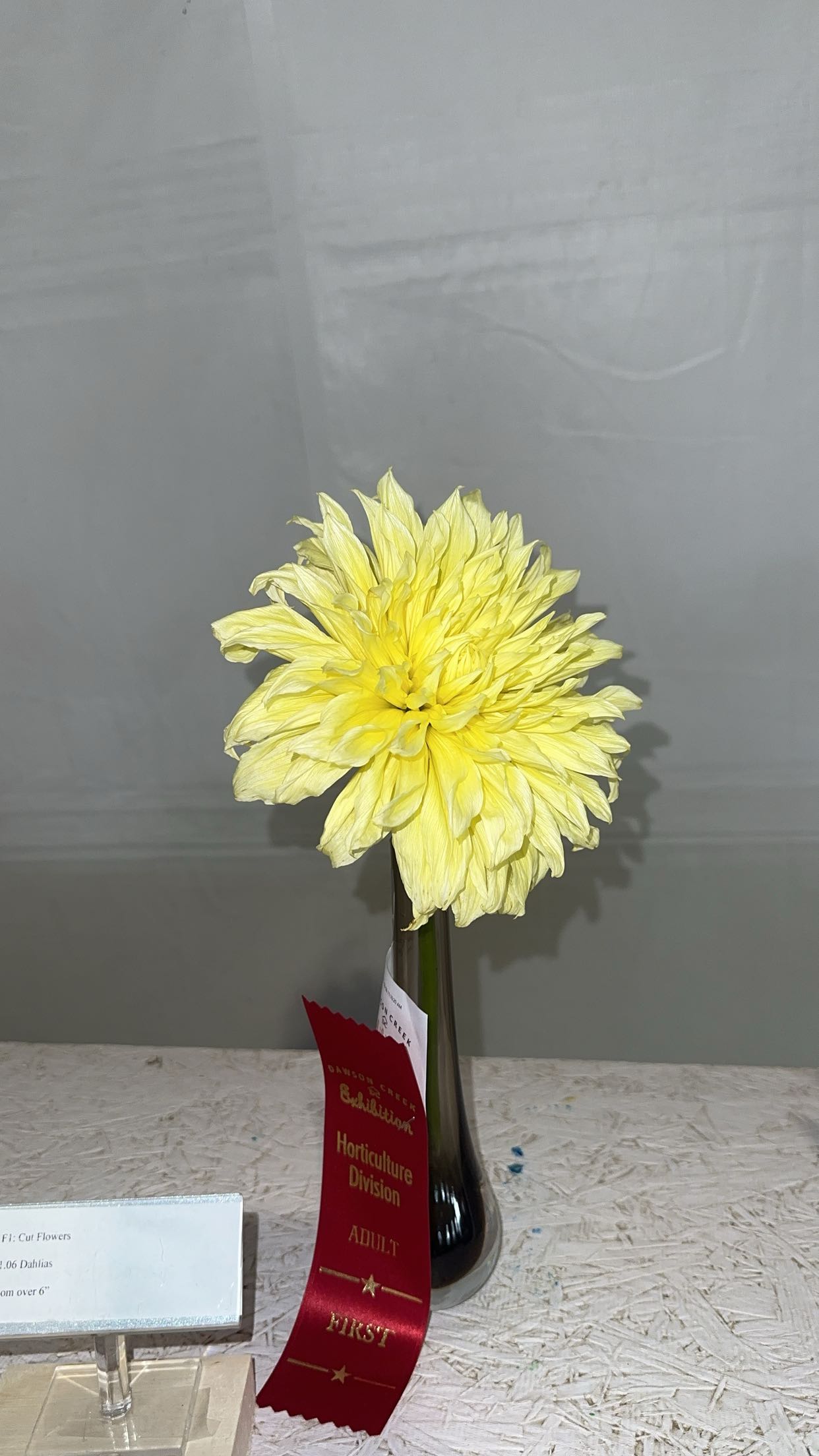 trappkittykhaos snapchat image archive image