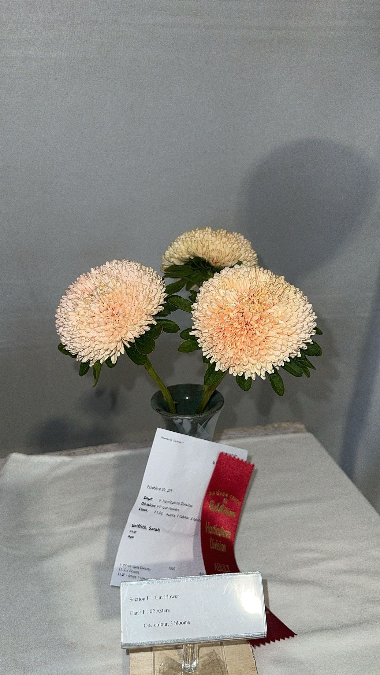 trappkittykhaos snapchat image archive image