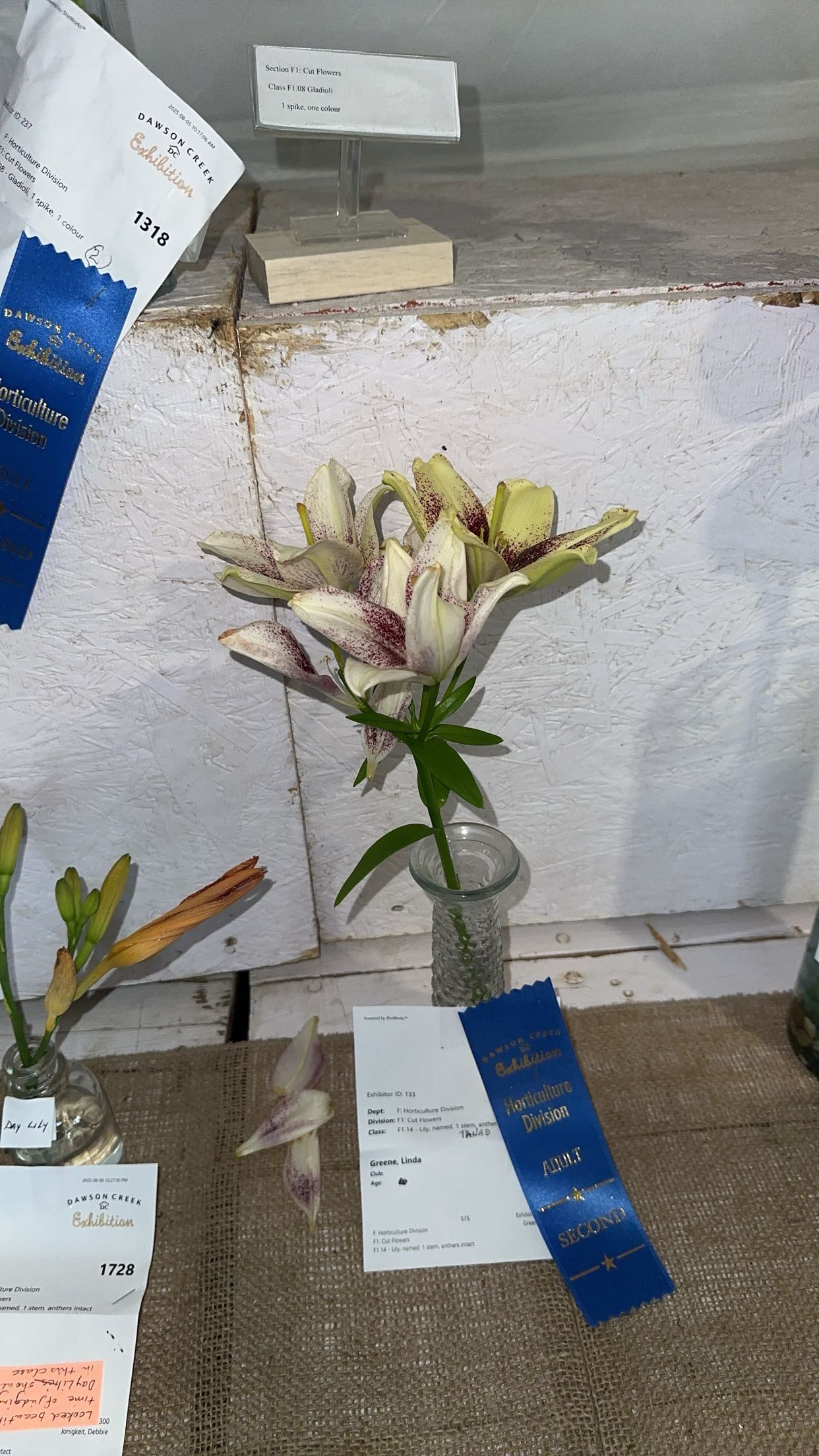 trappkittykhaos snapchat image archive image