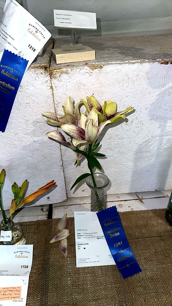 trappkittykhaos image ~ Altpins