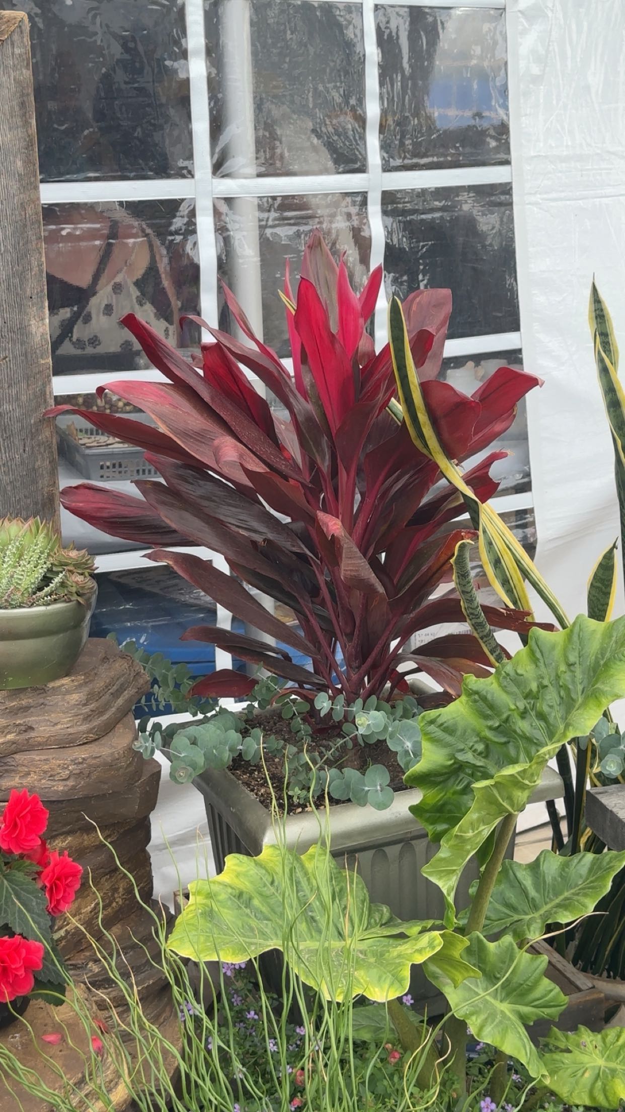 trappkittykhaos snapchat image archive image