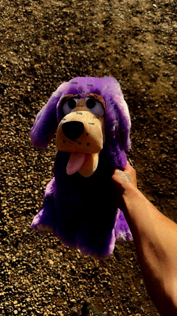 trappkittykhaos image ~ Altpins