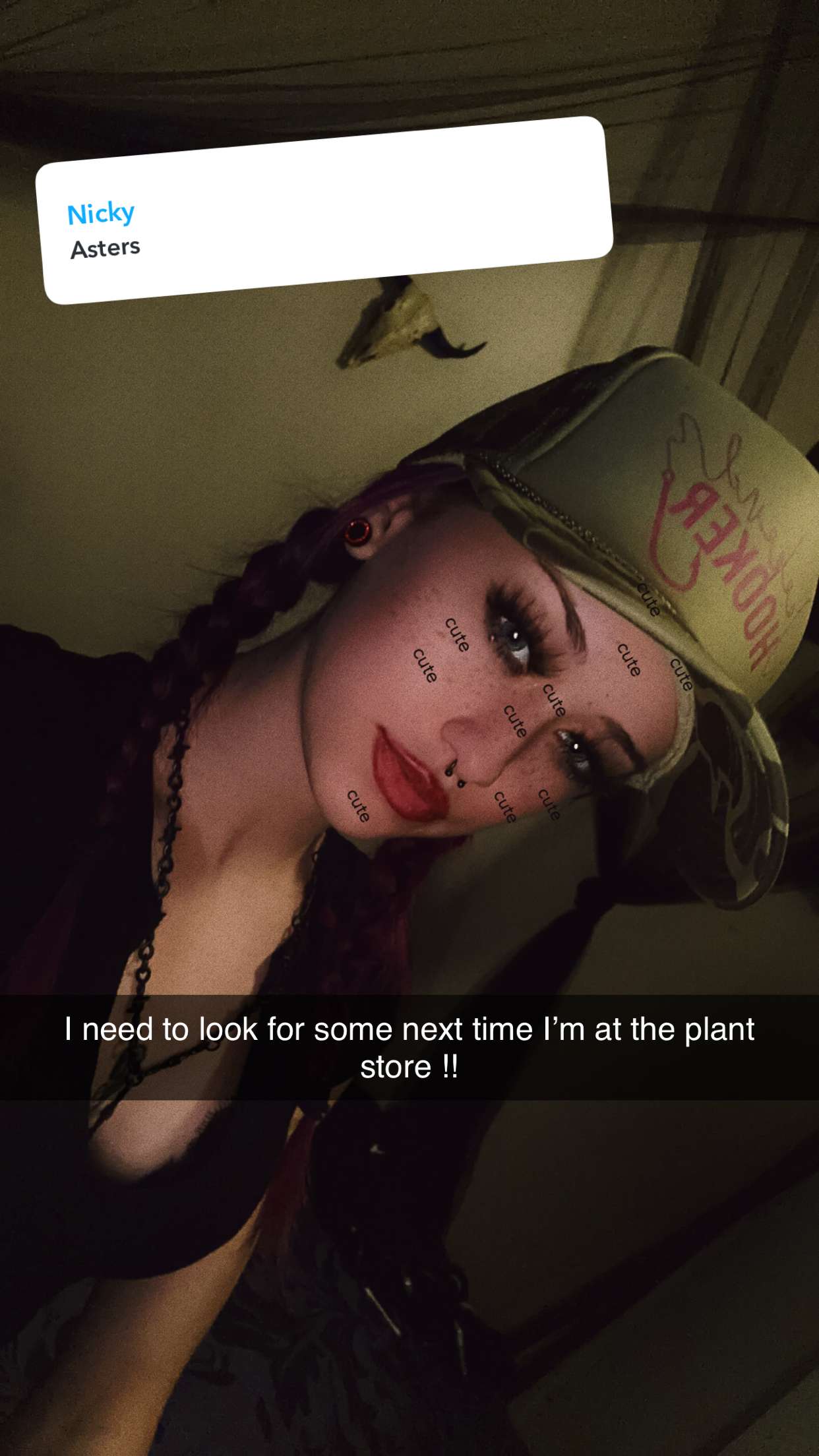 trappkittykhaos snapchat image archive image