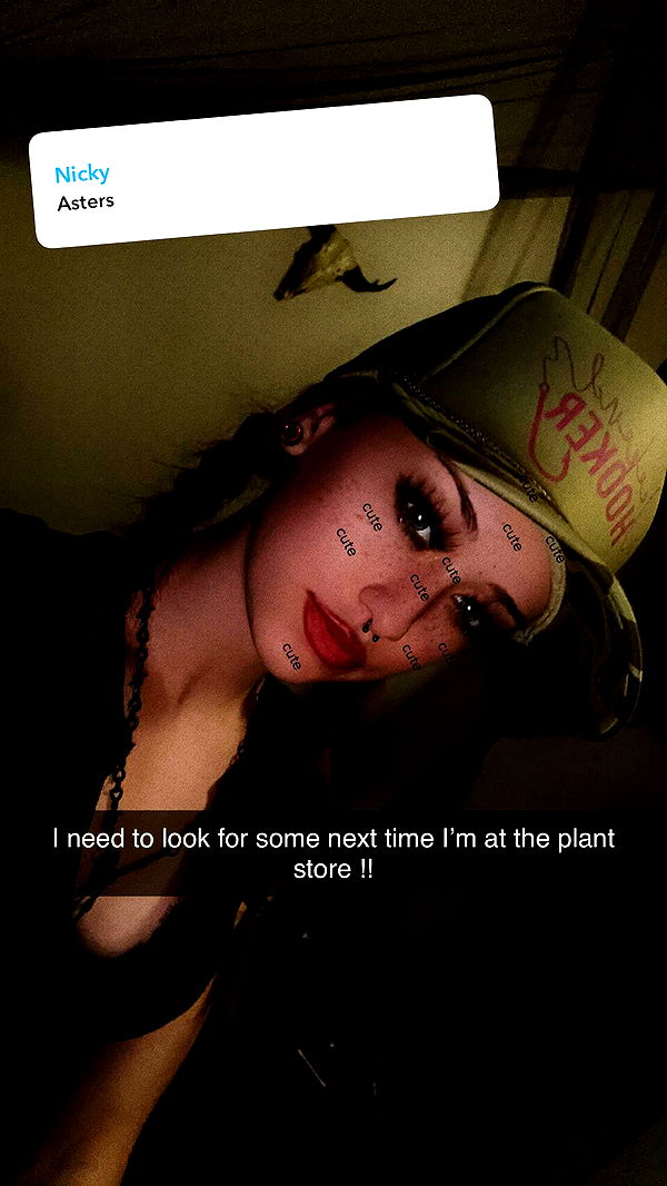 trappkittykhaos image ~ Altpins