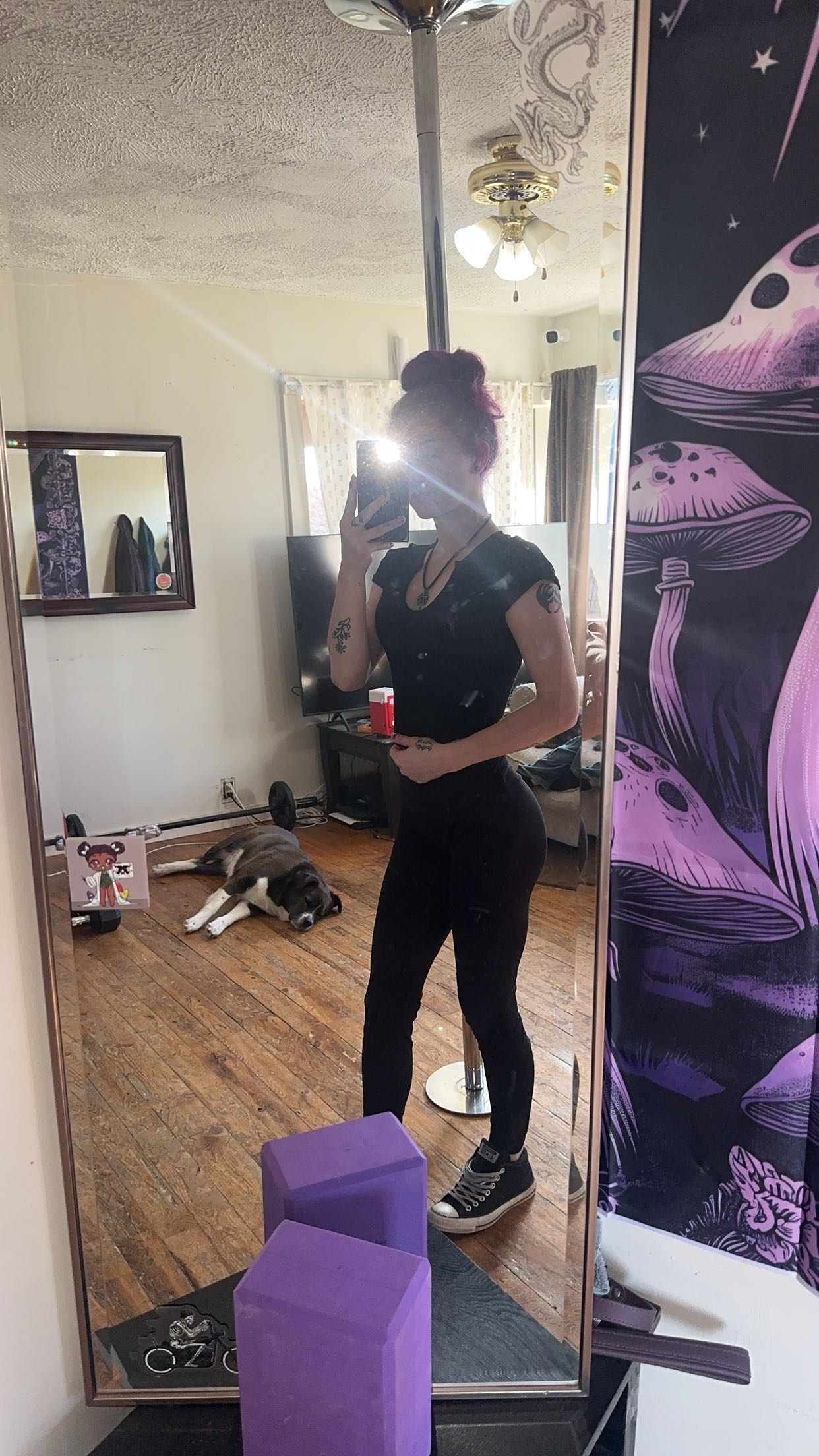 trappkittykhaos snapchat image archive image