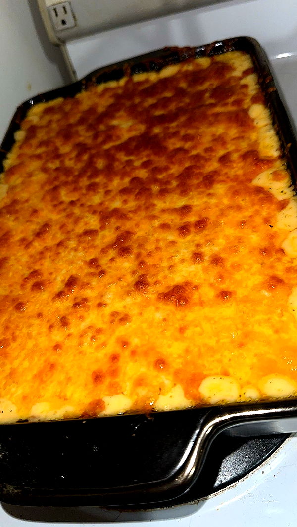 trappkittykhaos image ~ Altpins