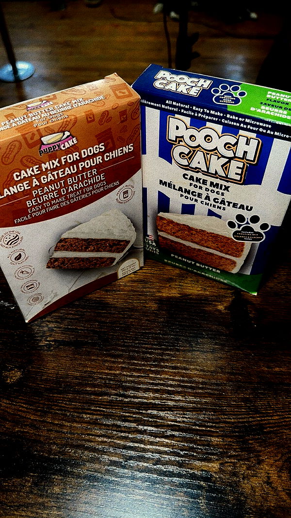 trappkittykhaos image ~ Altpins