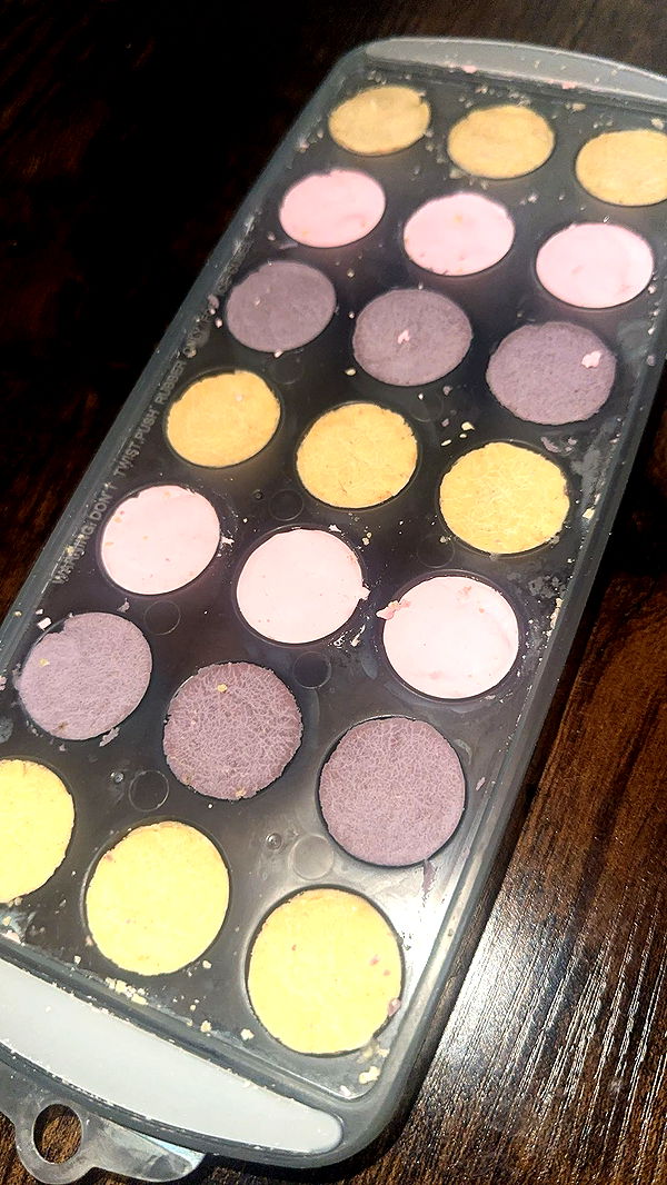 trappkittykhaos image ~ Altpins