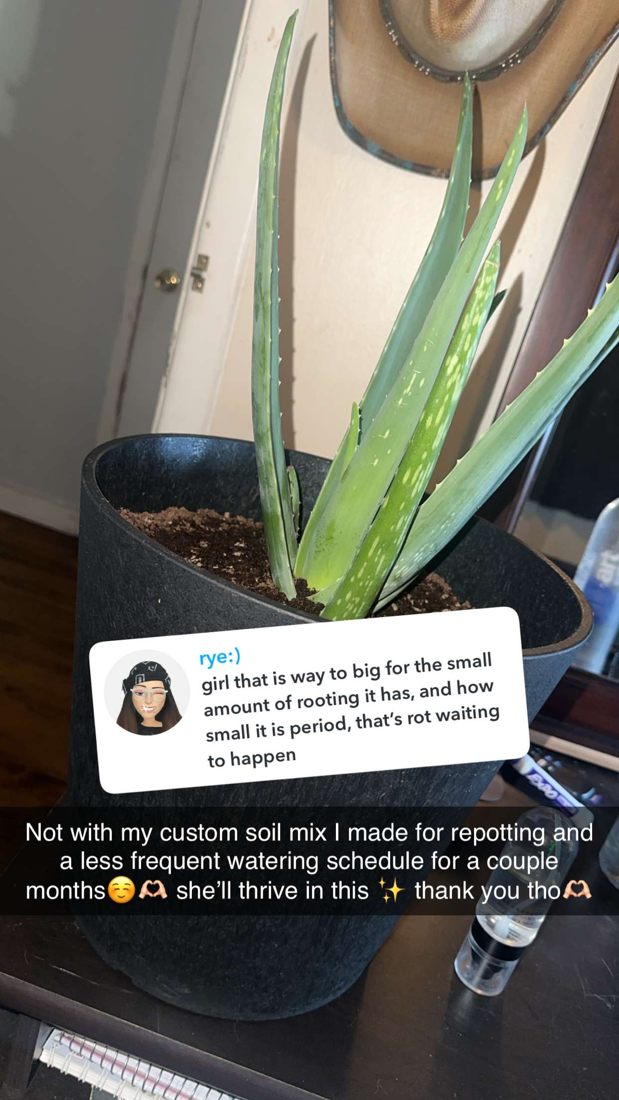 trappkittykhaos snapchat image archive image