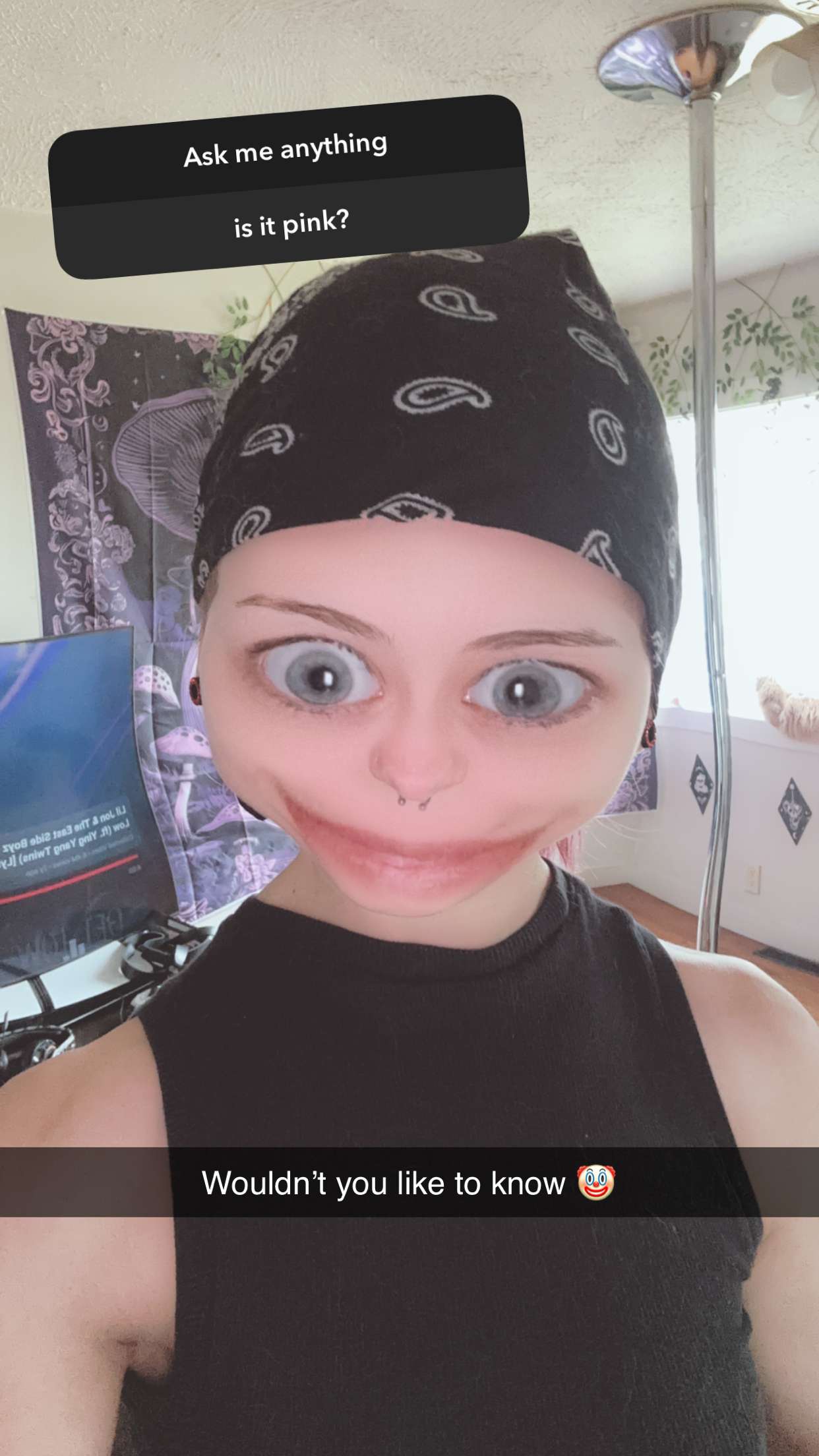 trappkittykhaos snapchat image archive image