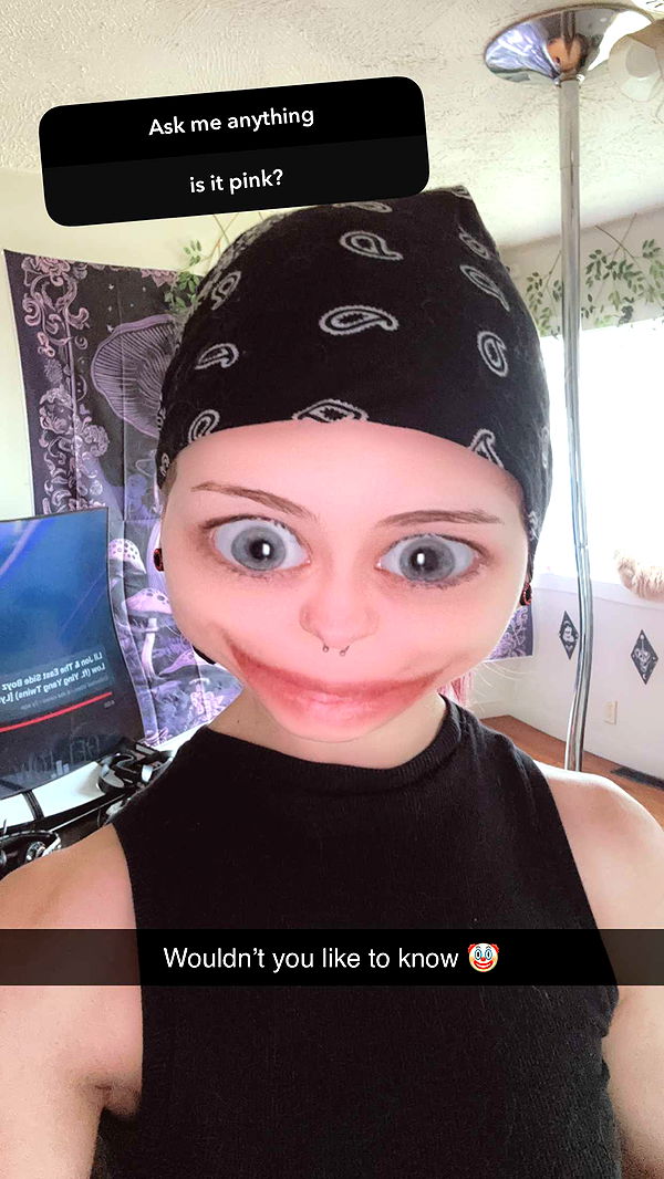 trappkittykhaos image ~ Altpins