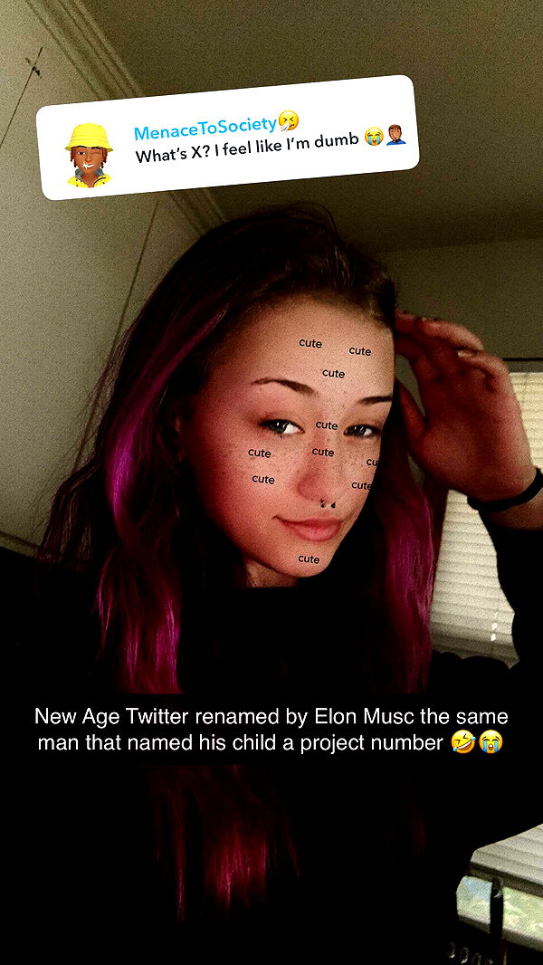 trappkittykhaos image ~ Altpins