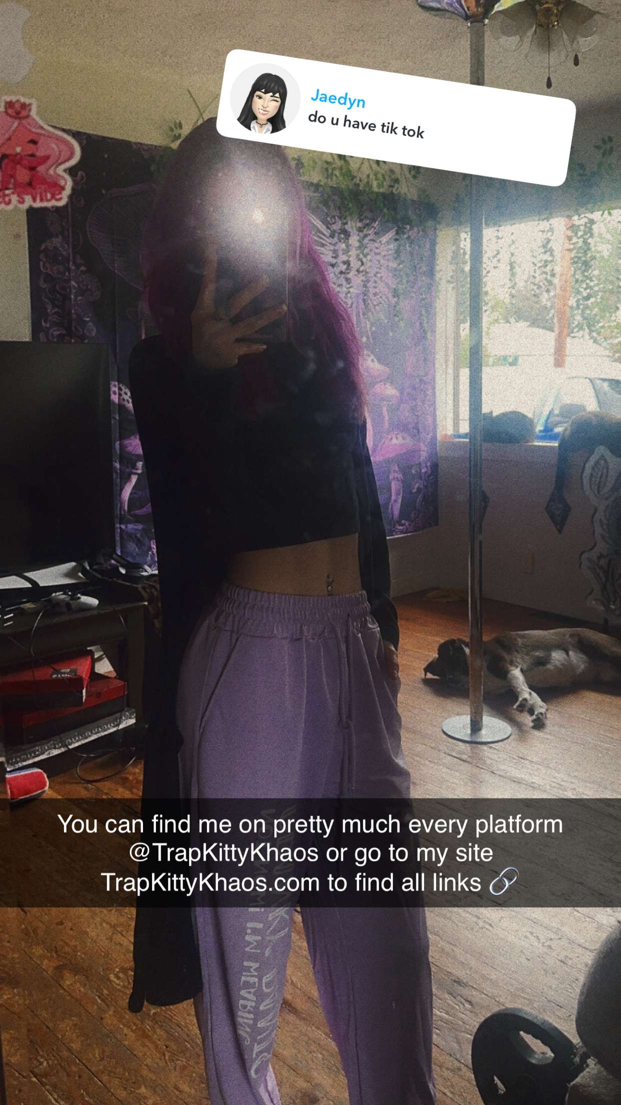 trappkittykhaos snapchat image archive image