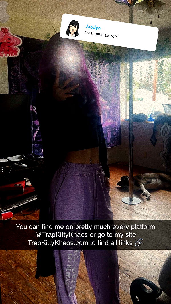 trappkittykhaos image ~ Altpins