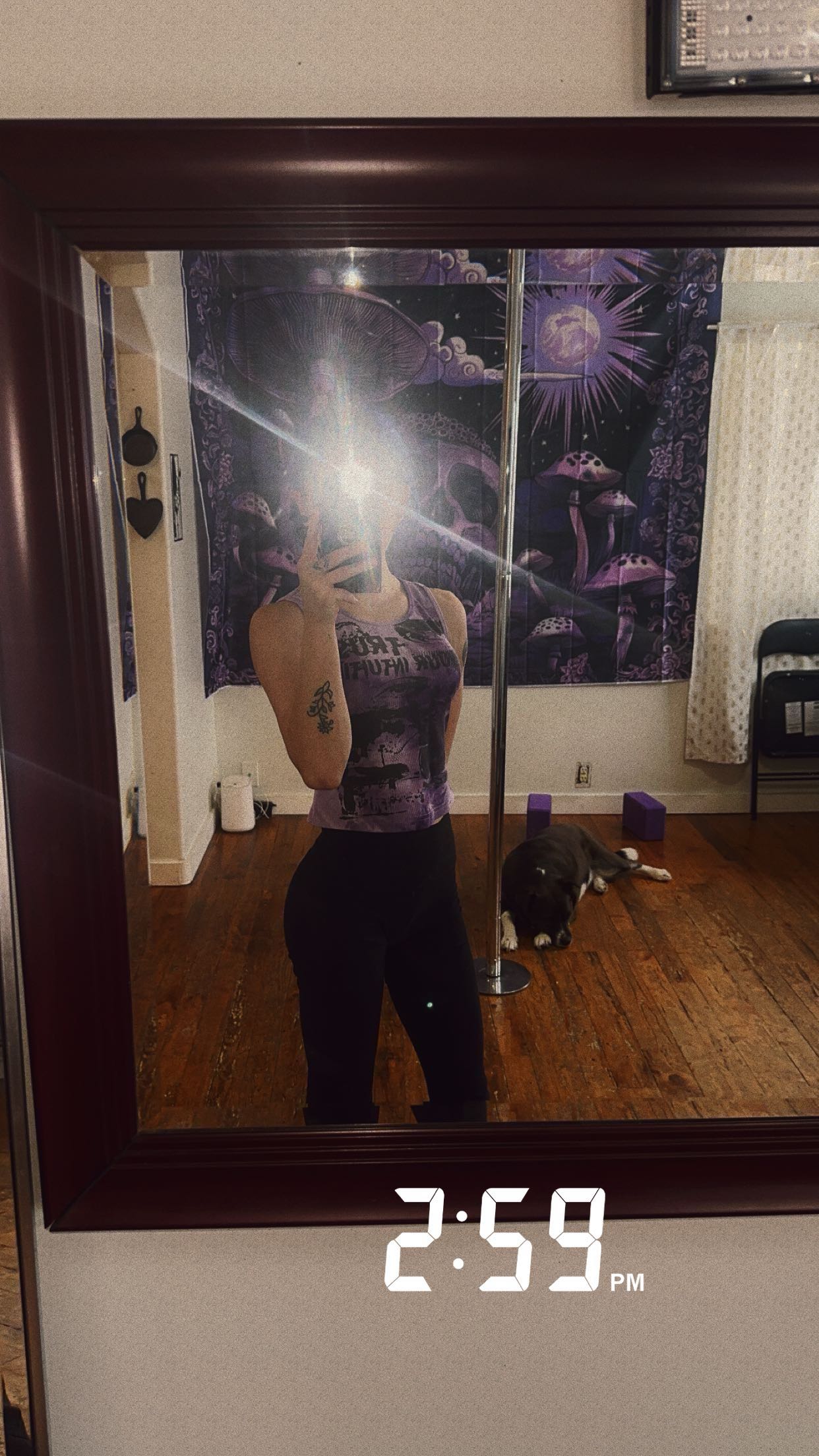 trappkittykhaos snapchat image archive image