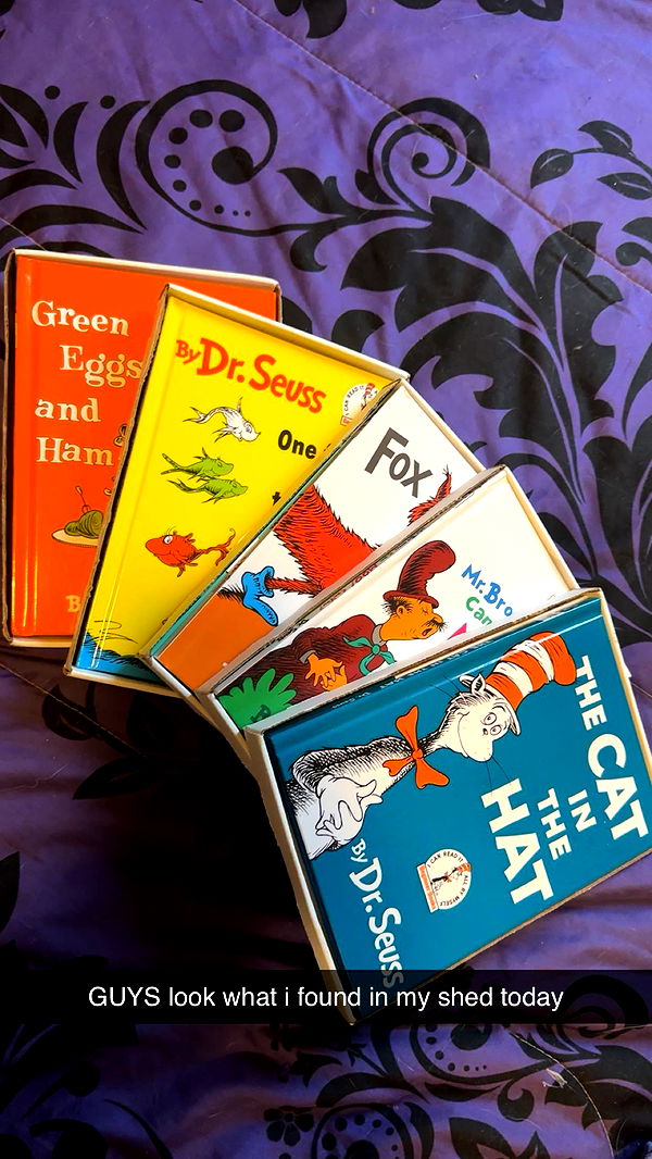 trappkittykhaos image ~ Altpins