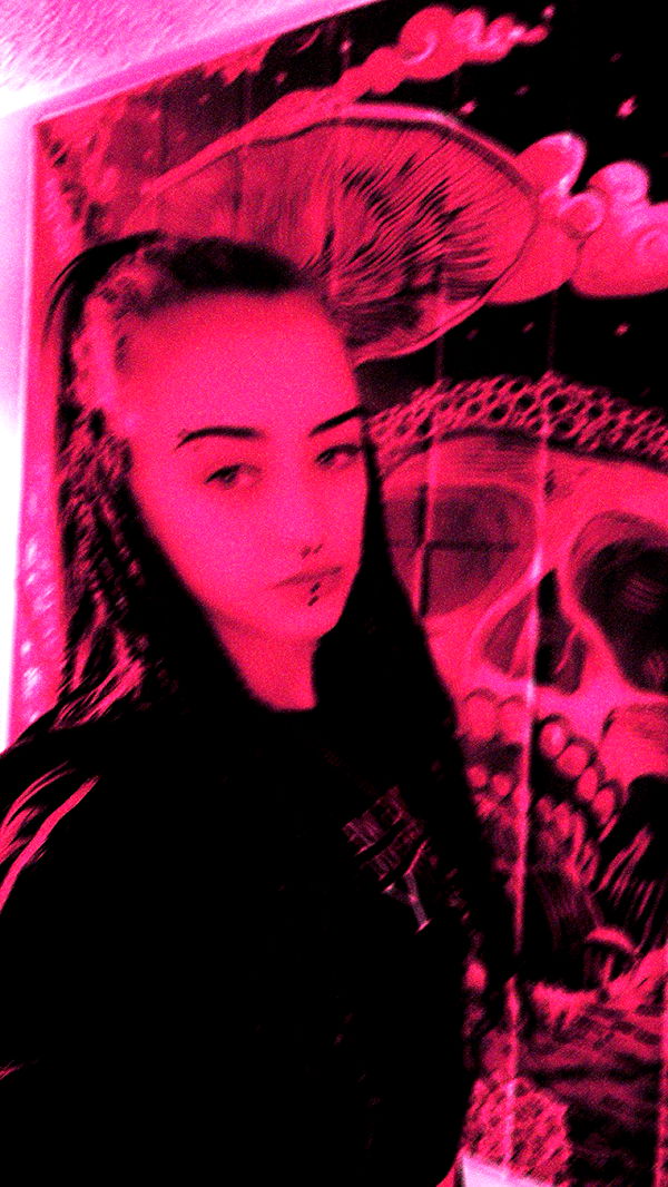 trappkittykhaos image ~ Altpins