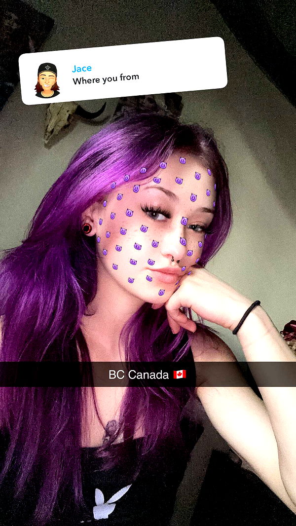 trappkittykhaos image ~ Altpins