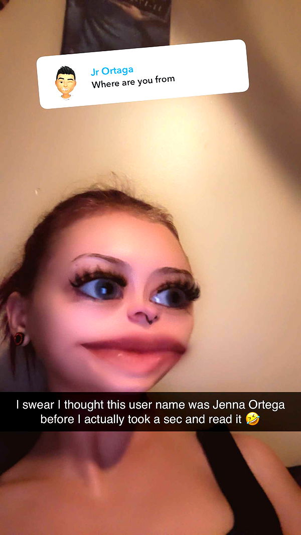 trappkittykhaos image ~ Altpins