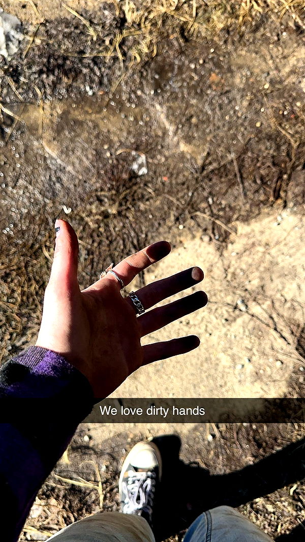 trappkittykhaos image ~ Altpins