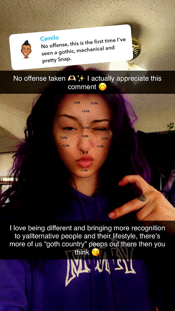 trappkittykhaos image ~ Altpins