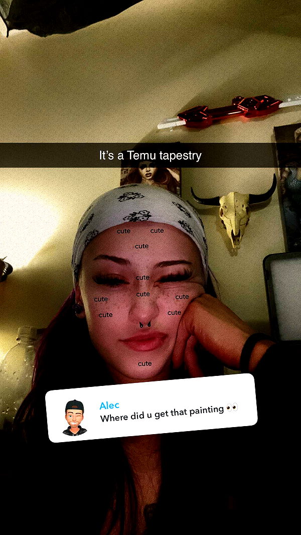 trappkittykhaos image ~ Altpins