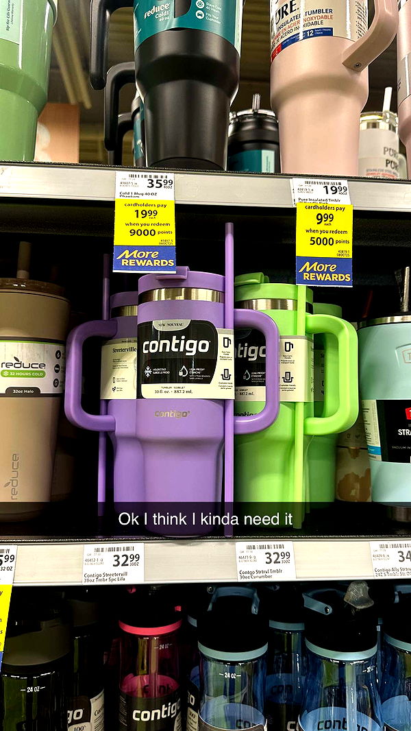 trappkittykhaos image ~ Altpins