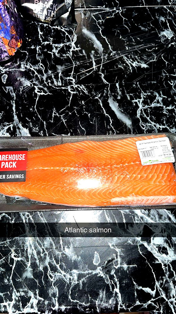 trappkittykhaos image ~ Altpins