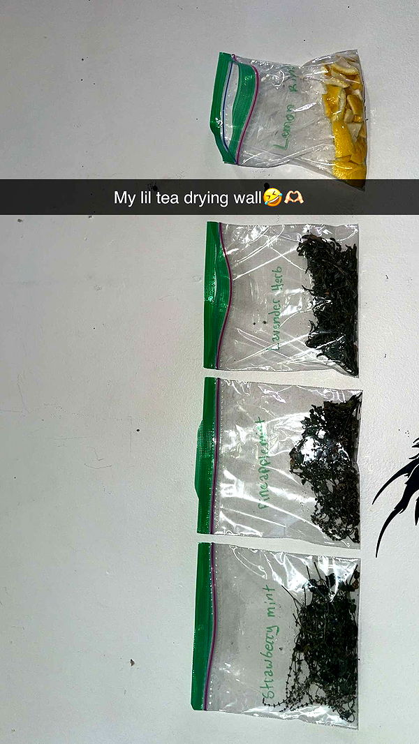 trappkittykhaos image ~ Altpins