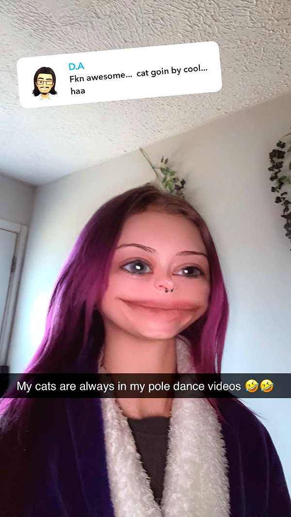 trappkittykhaos image ~ Altpins