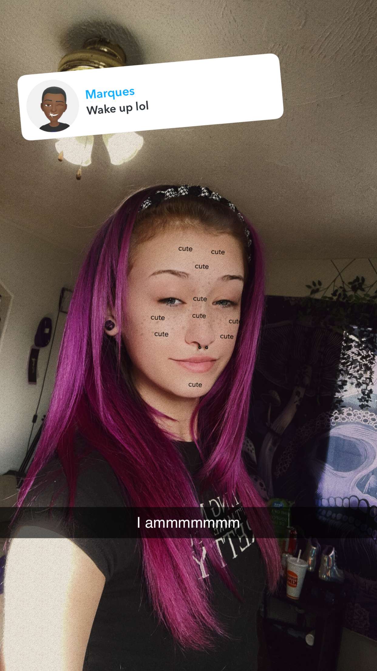 trappkittykhaos snapchat image archive image