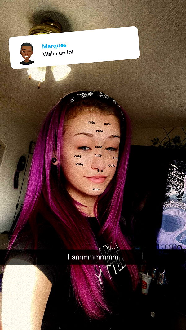 trappkittykhaos image ~ Altpins