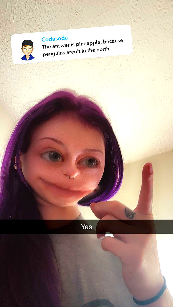 trappkittykhaos image ~ Altpins