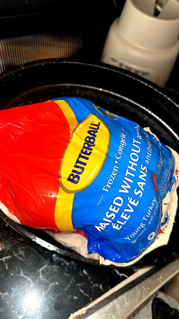 trappkittykhaos image ~ Altpins