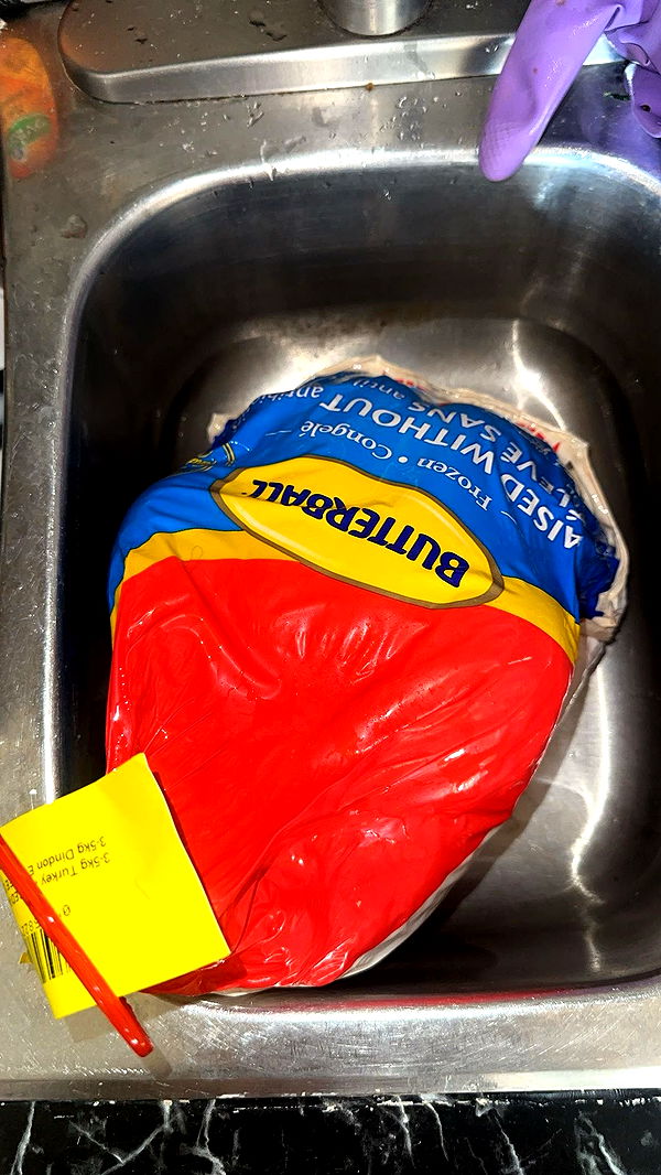 trappkittykhaos image ~ Altpins