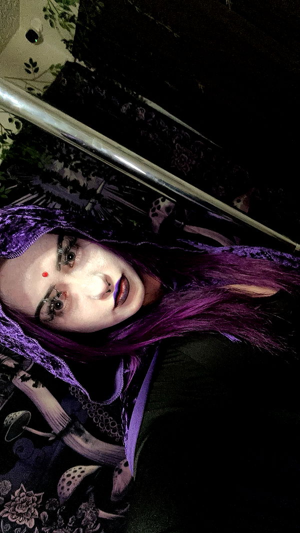 trappkittykhaos image ~ Altpins