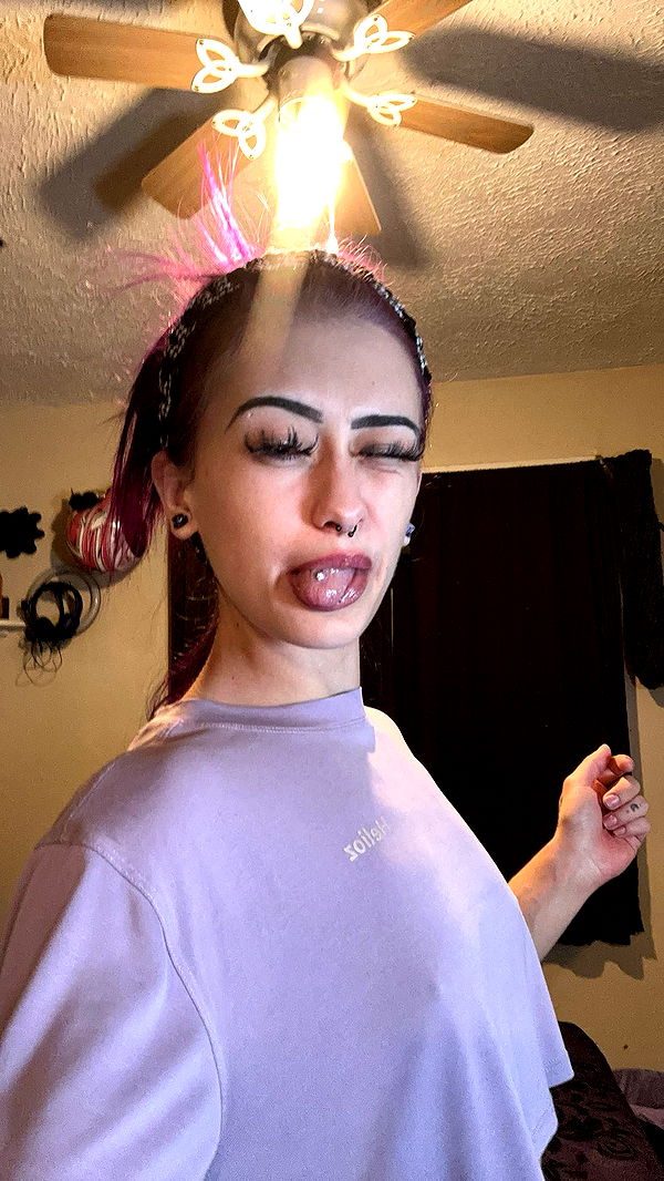 trappkittykhaos image ~ Altpins