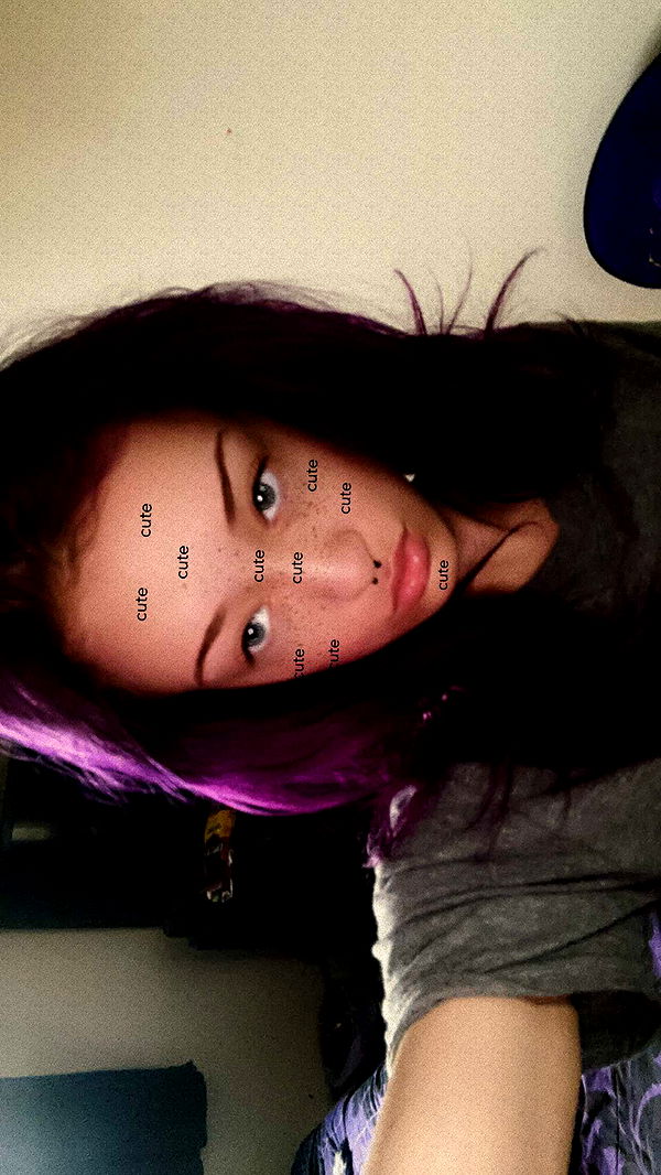 trappkittykhaos image ~ Altpins